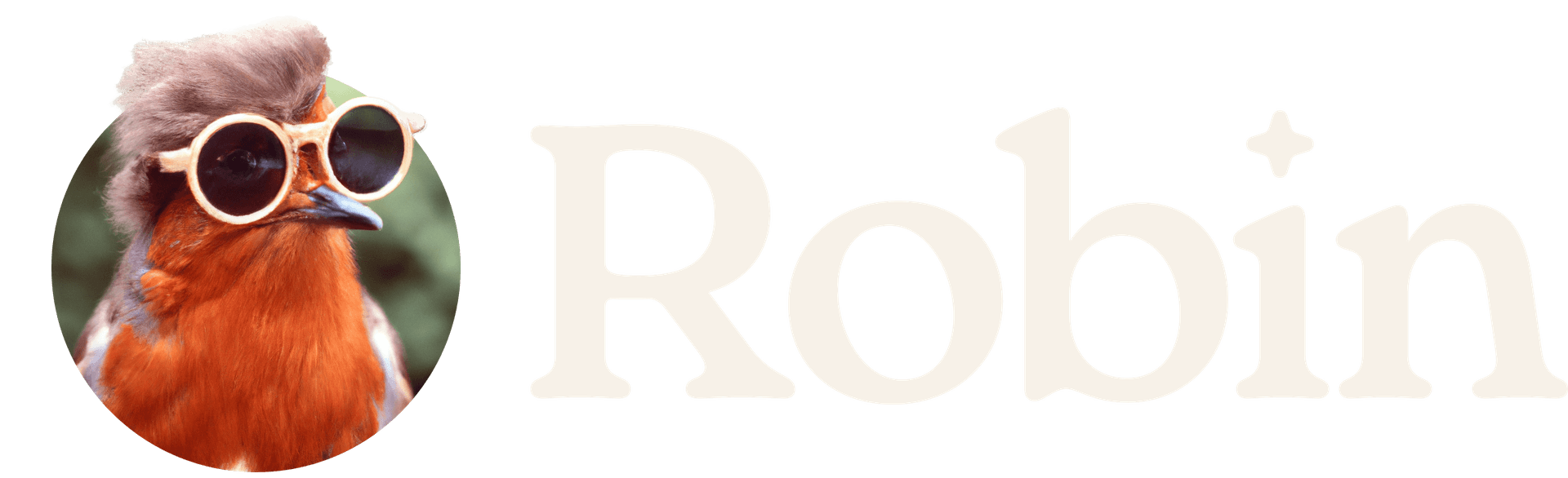 Robin logo with light text