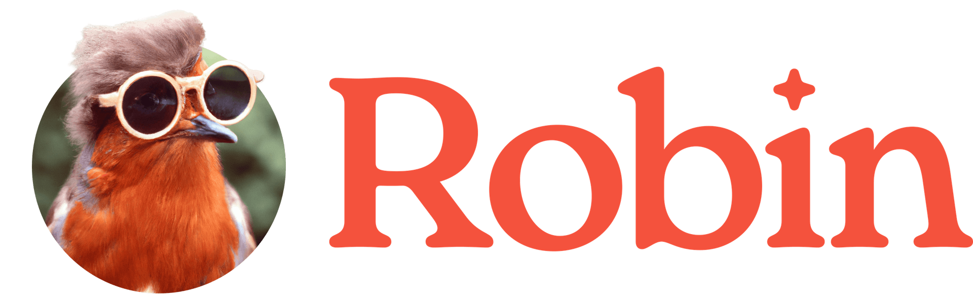 Robin logo with dark text