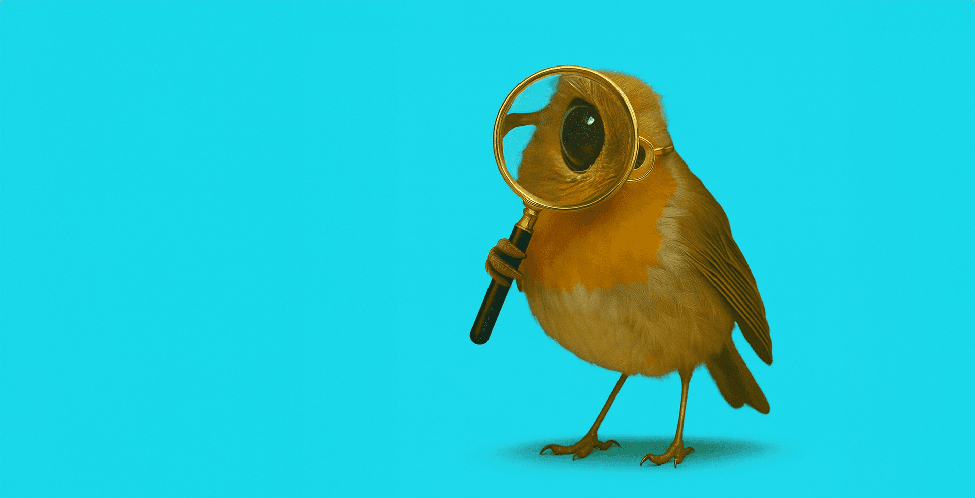 Robin with magnifying glass searching